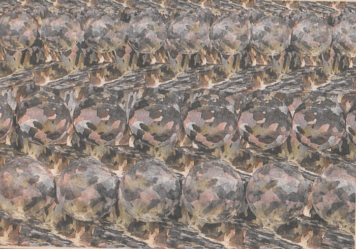 A representation of camoflauge pattern