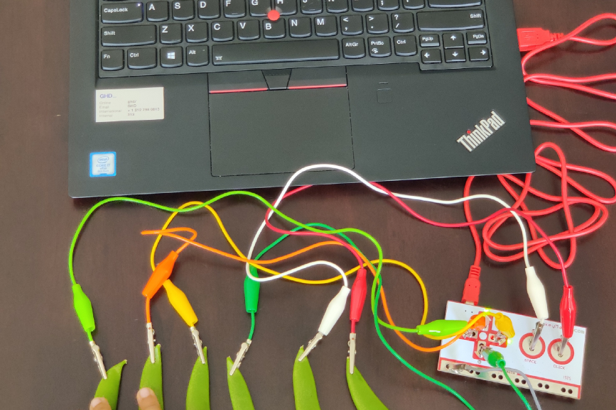 A peas piano with makey makey