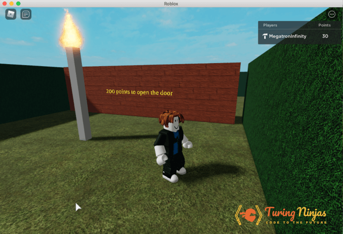 A Screenshot of a roblox obby