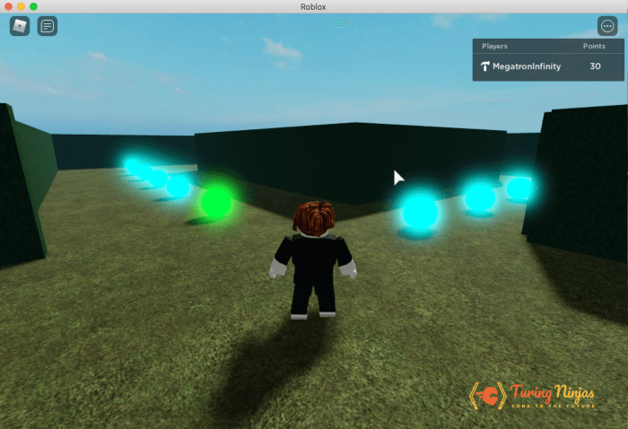 A Screenshot of a roblox obby