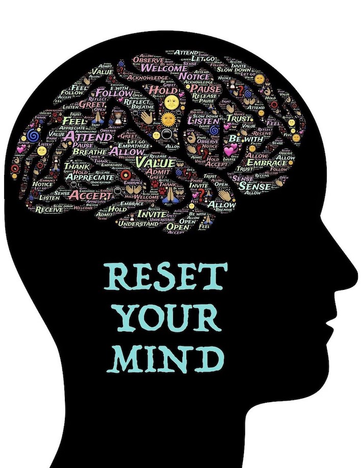 A human brain illustrating to reset your mind